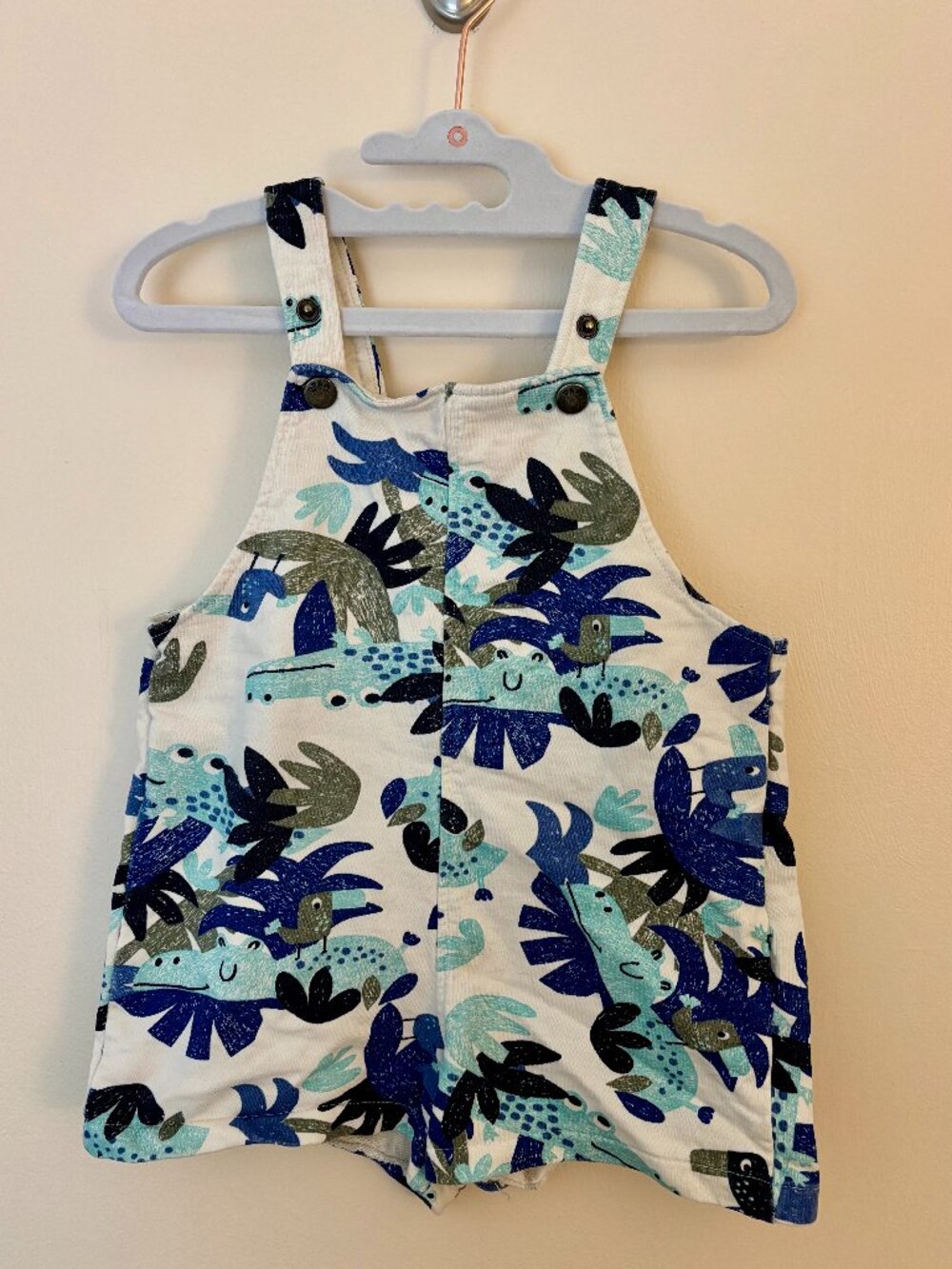 Toddler Overalls 24 Months